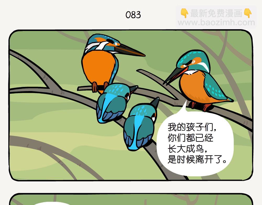 第25话 普通翠鸟-第25话