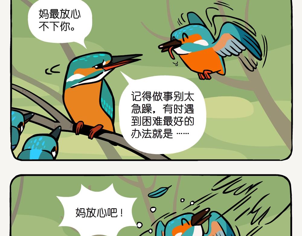 第25话 普通翠鸟-第25话