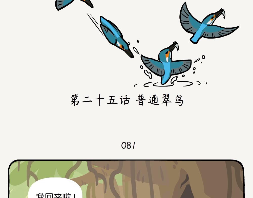 第25话 普通翠鸟-第25话
