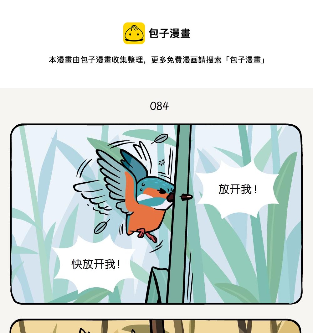 第25话 普通翠鸟-第25话