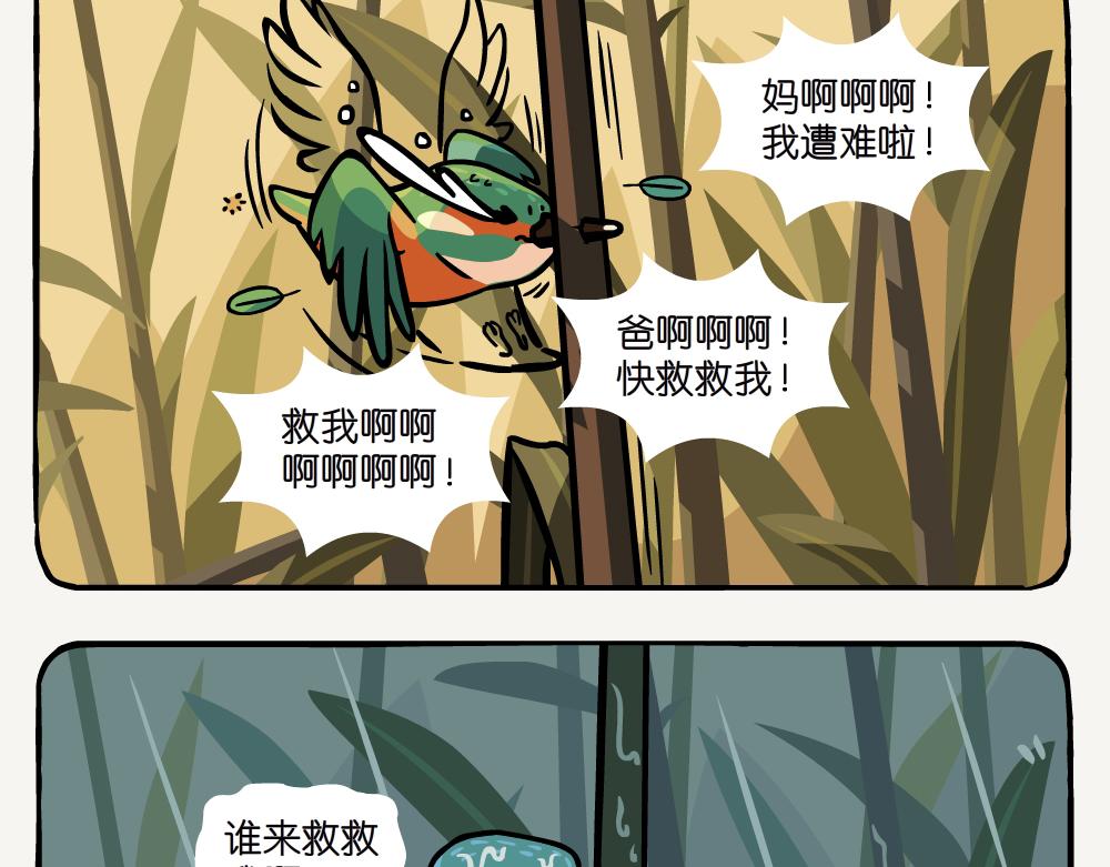 第25话 普通翠鸟-第25话