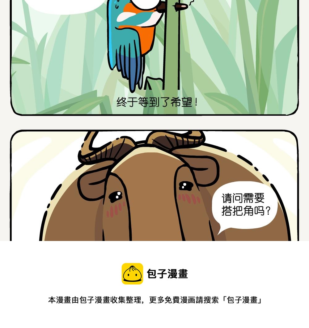 第25话 普通翠鸟-第25话