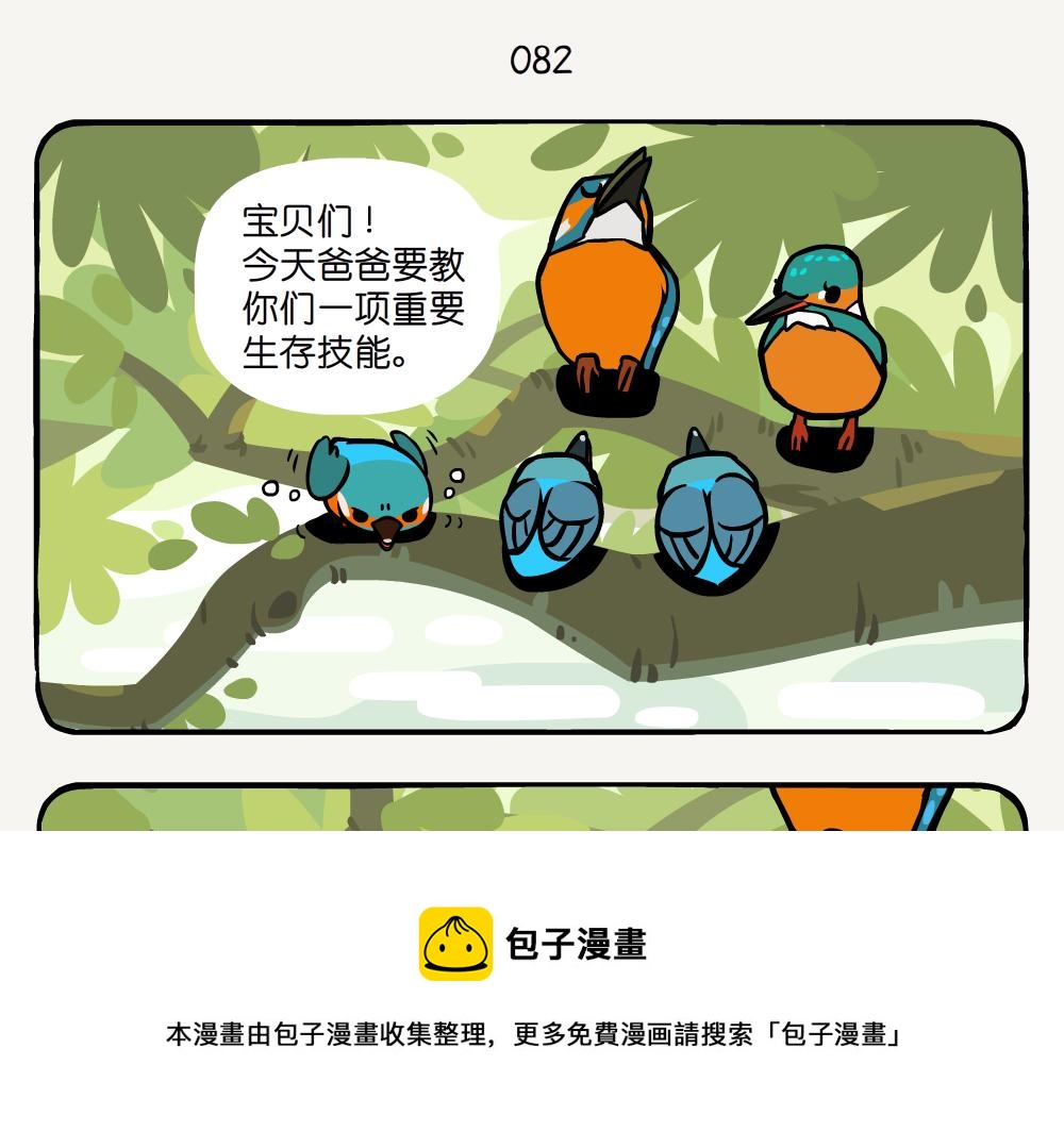 第25话 普通翠鸟-第25话