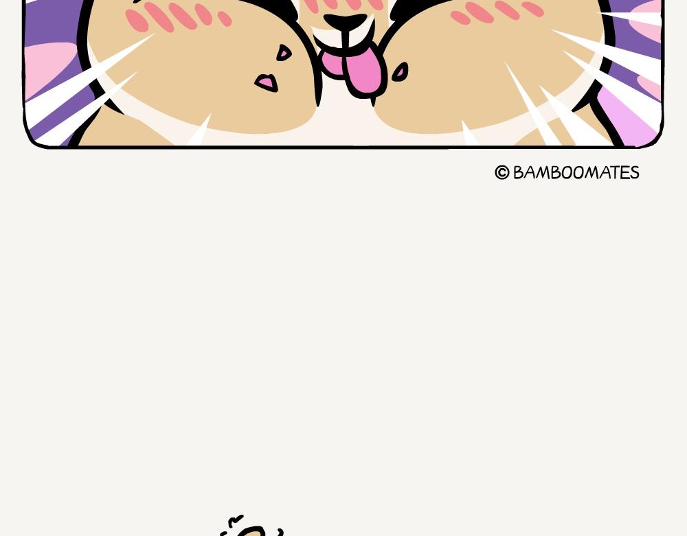 第33话 心叶大黄-第33话