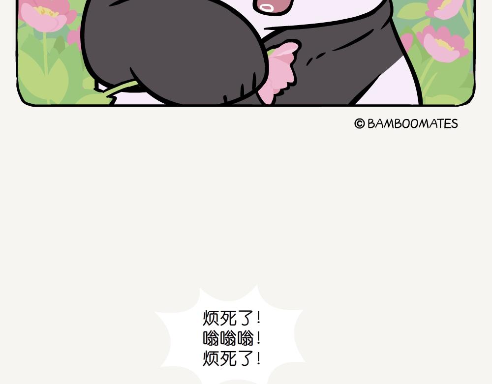 第39话 伪猛熊蜂-第39话