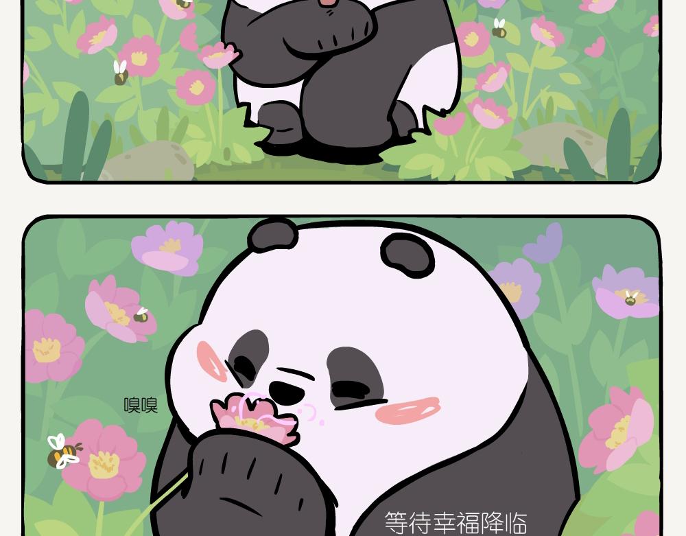 第39话 伪猛熊蜂-第39话