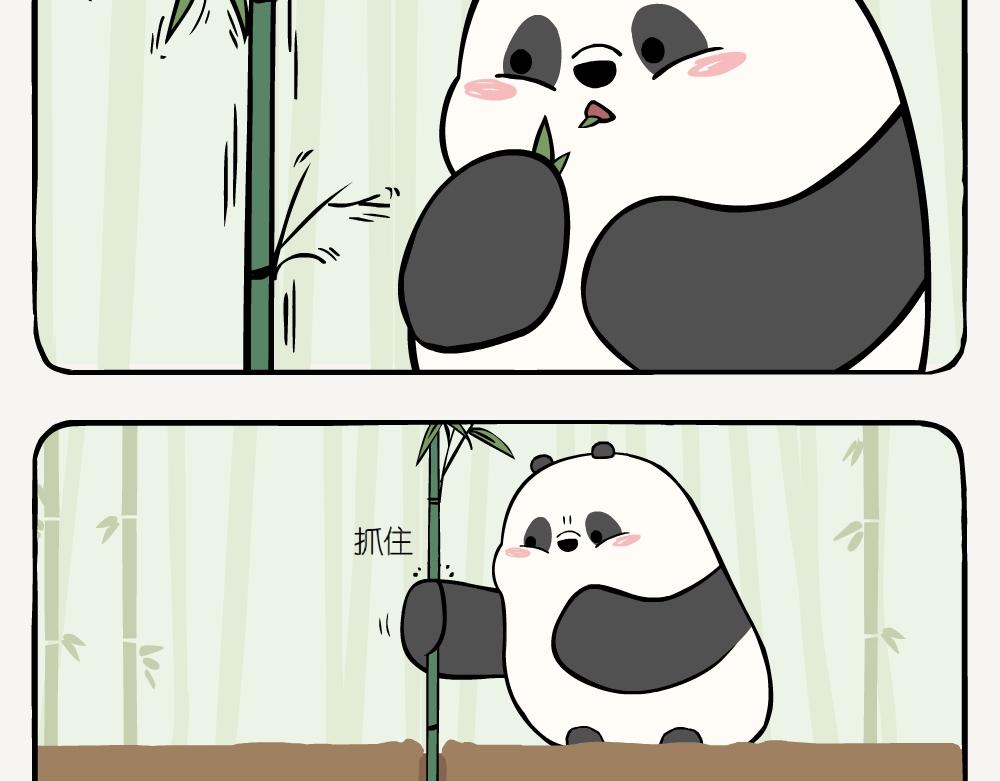 第5话 箭竹-第5话