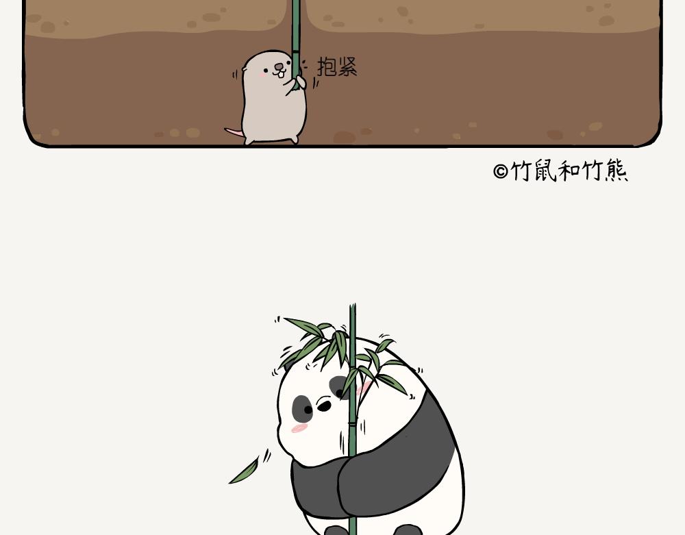 第5话 箭竹-第5话