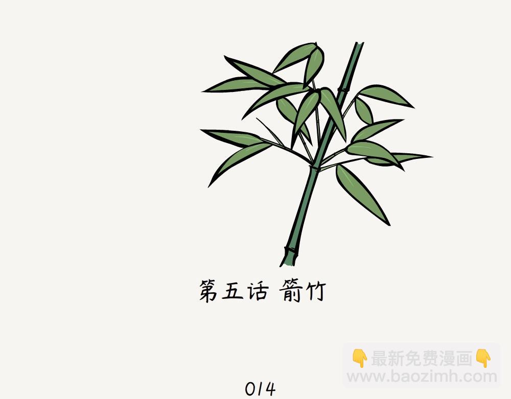 第5话 箭竹-第5话