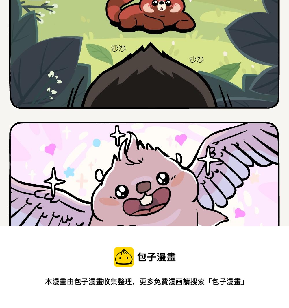 第41话 白颊噪鹛-第41话