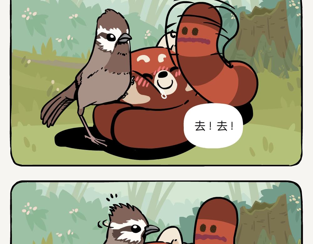 第41话 白颊噪鹛-第41话