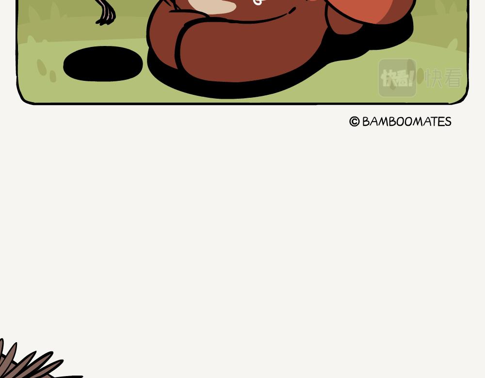 第41话 白颊噪鹛-第41话