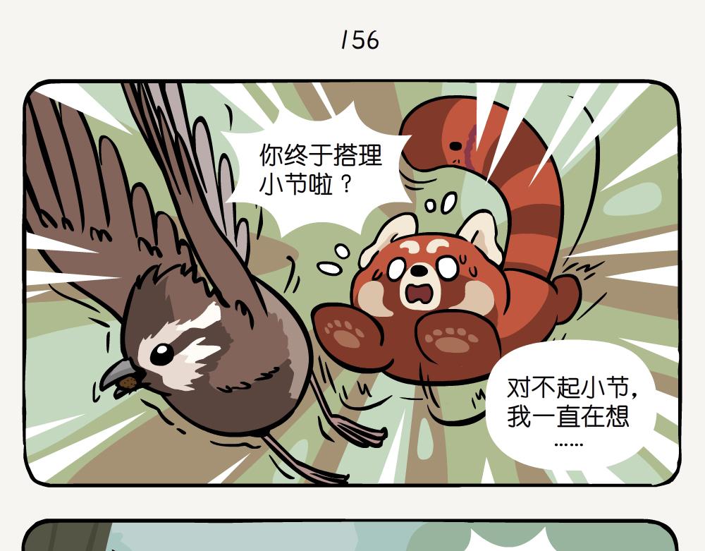 第41话 白颊噪鹛-第41话