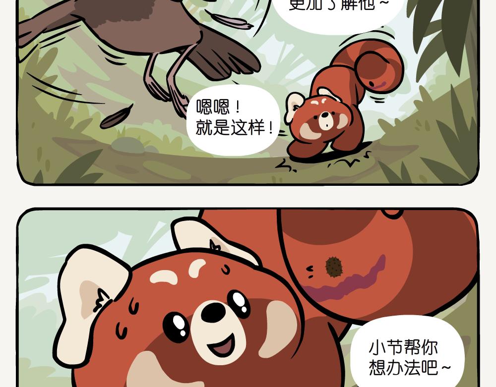 第41话 白颊噪鹛-第41话