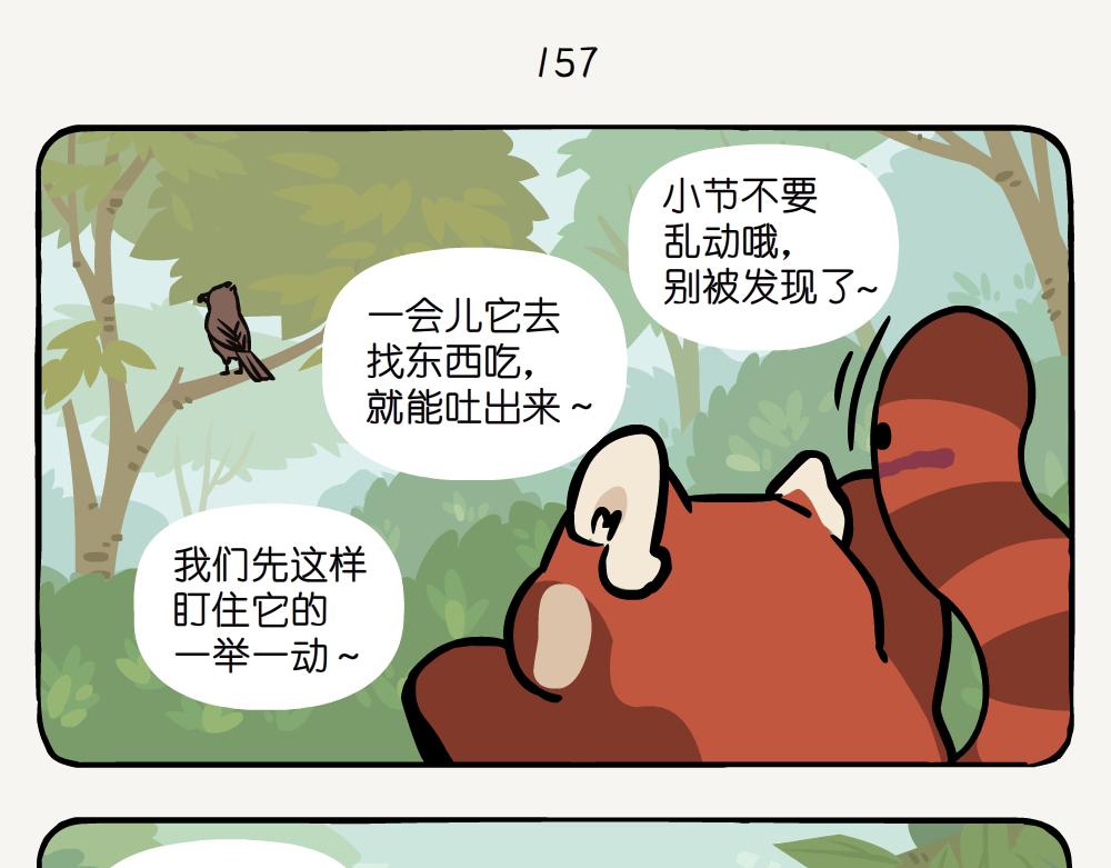 第41话 白颊噪鹛-第41话