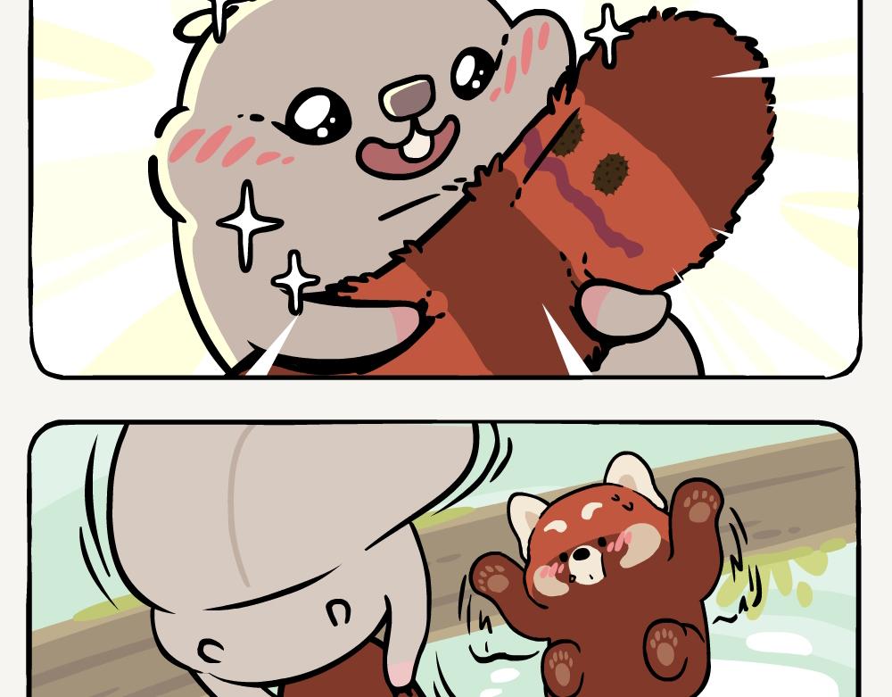 第41话 白颊噪鹛-第41话