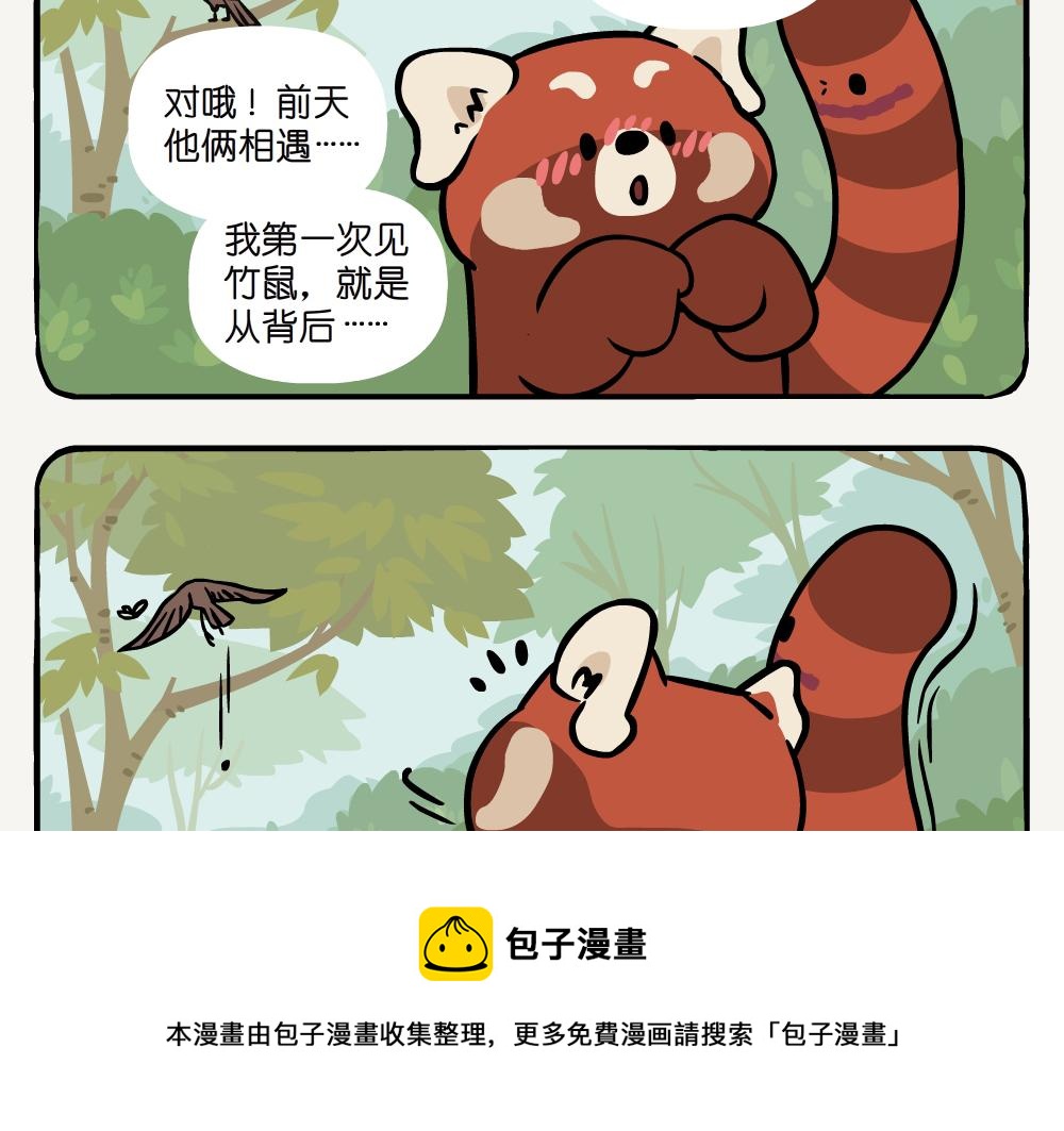 第41话 白颊噪鹛-第41话