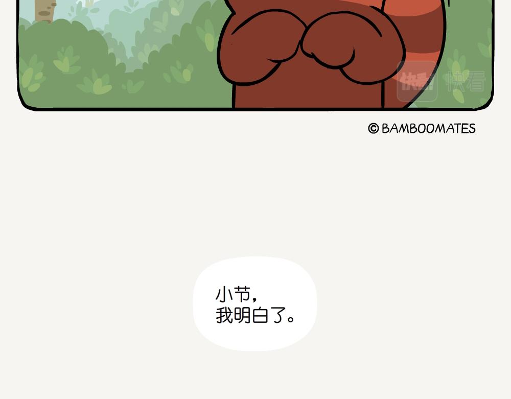 第41话 白颊噪鹛-第41话