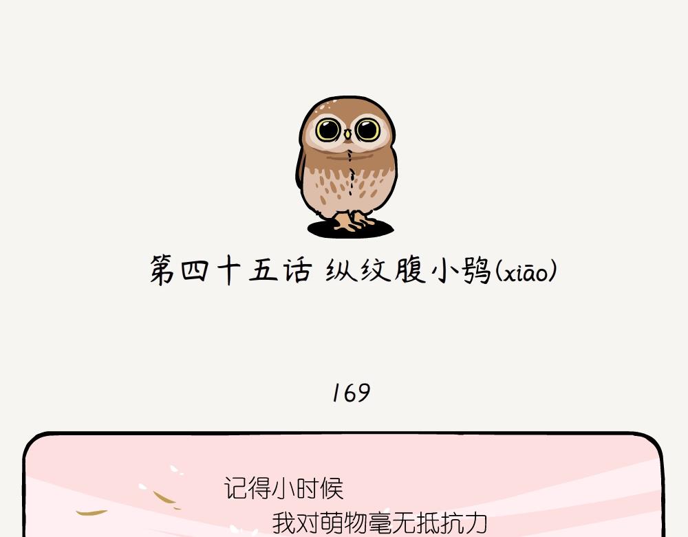 第45话 纵纹腹小鸮-第45话