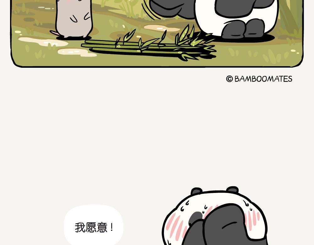 第45话 纵纹腹小鸮-第45话