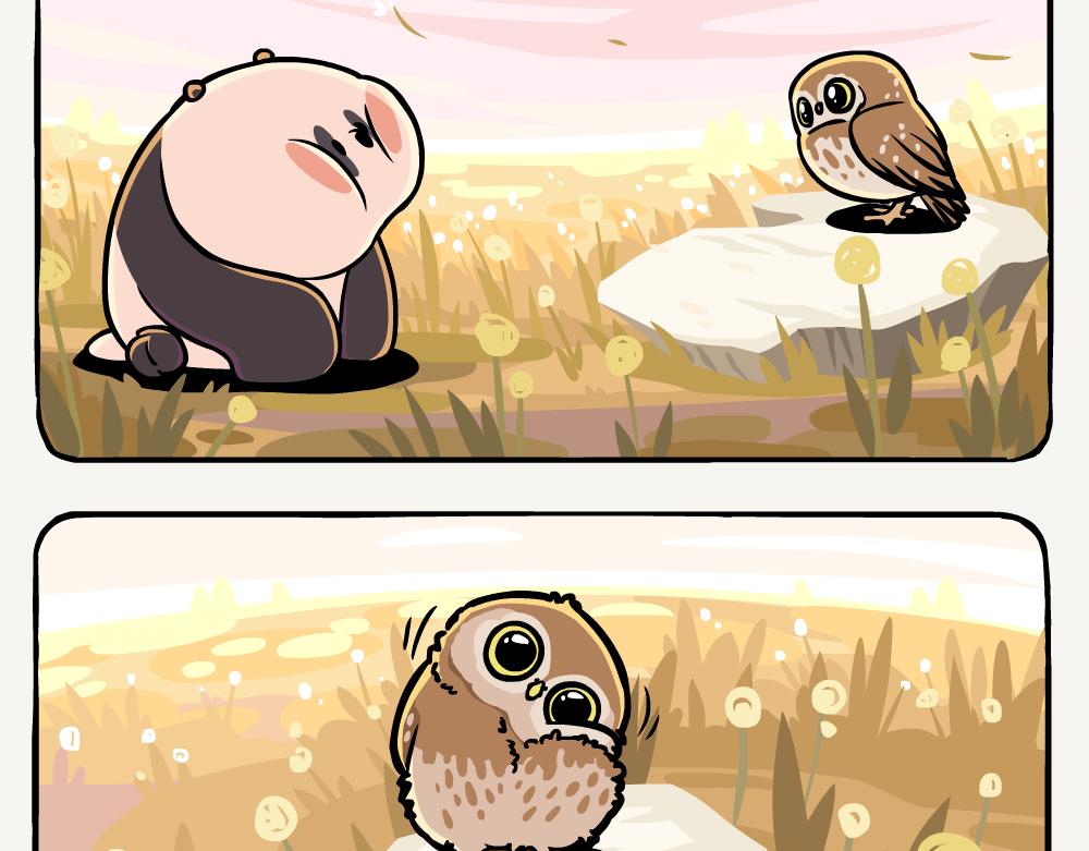 第45话 纵纹腹小鸮-第45话