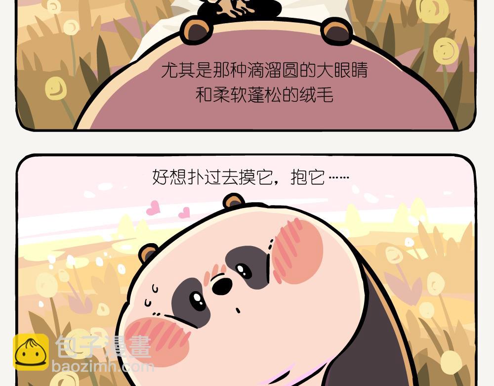 第45话 纵纹腹小鸮-第45话