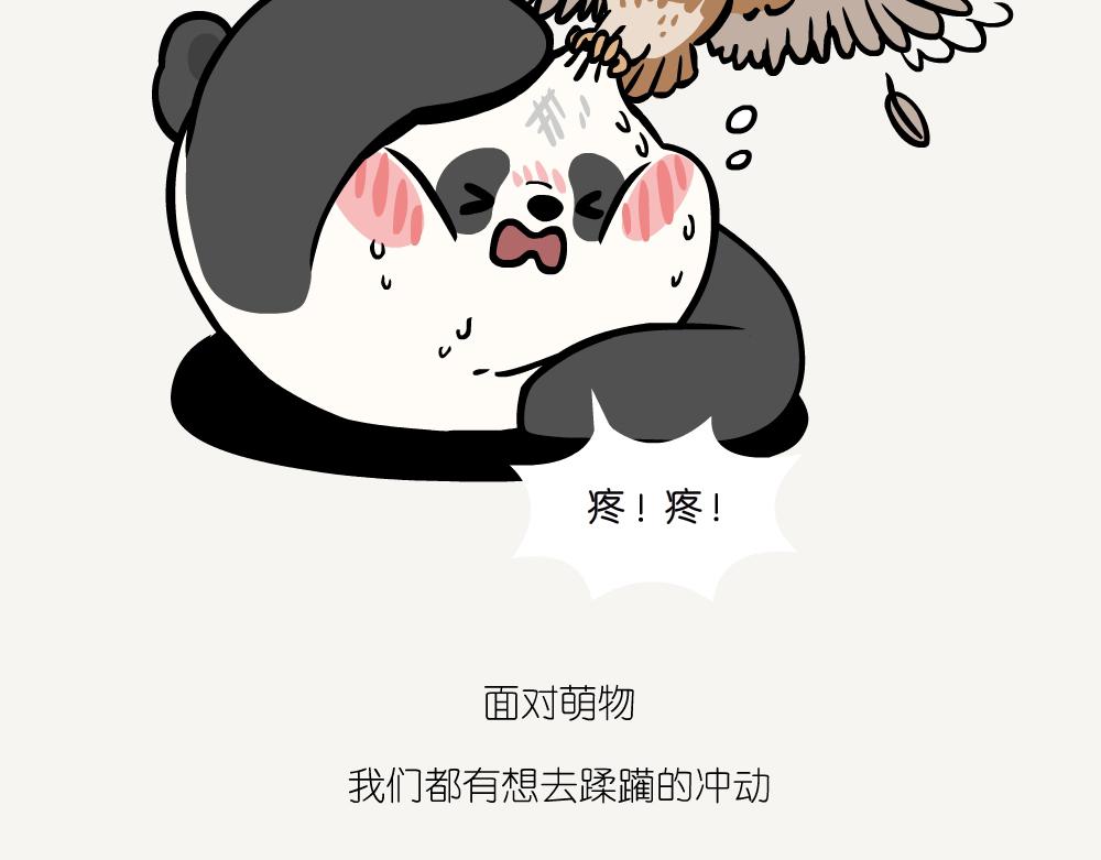 第45话 纵纹腹小鸮-第45话