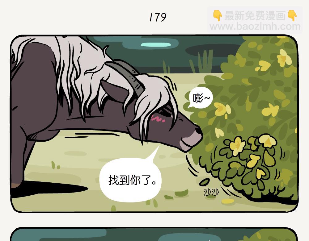 第47话 黄蔷薇-第47话