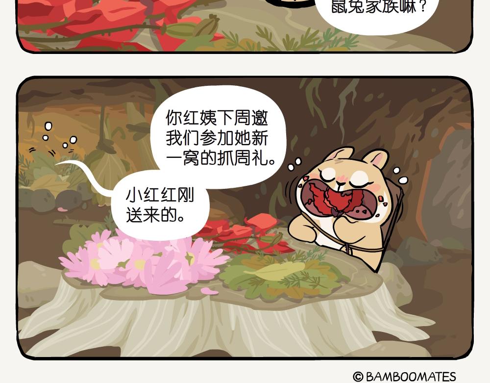 第57话 红花绿绒蒿-第57话