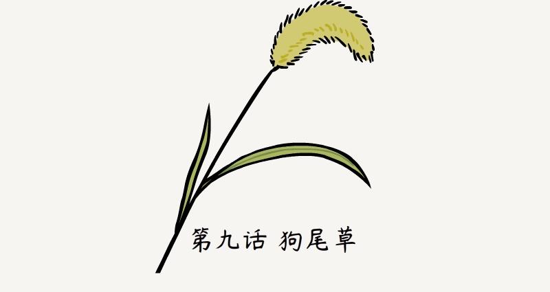 第9话 狗尾草-第9话