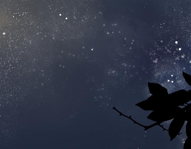 第31话 皇室阴谋不敌我想你-第31话