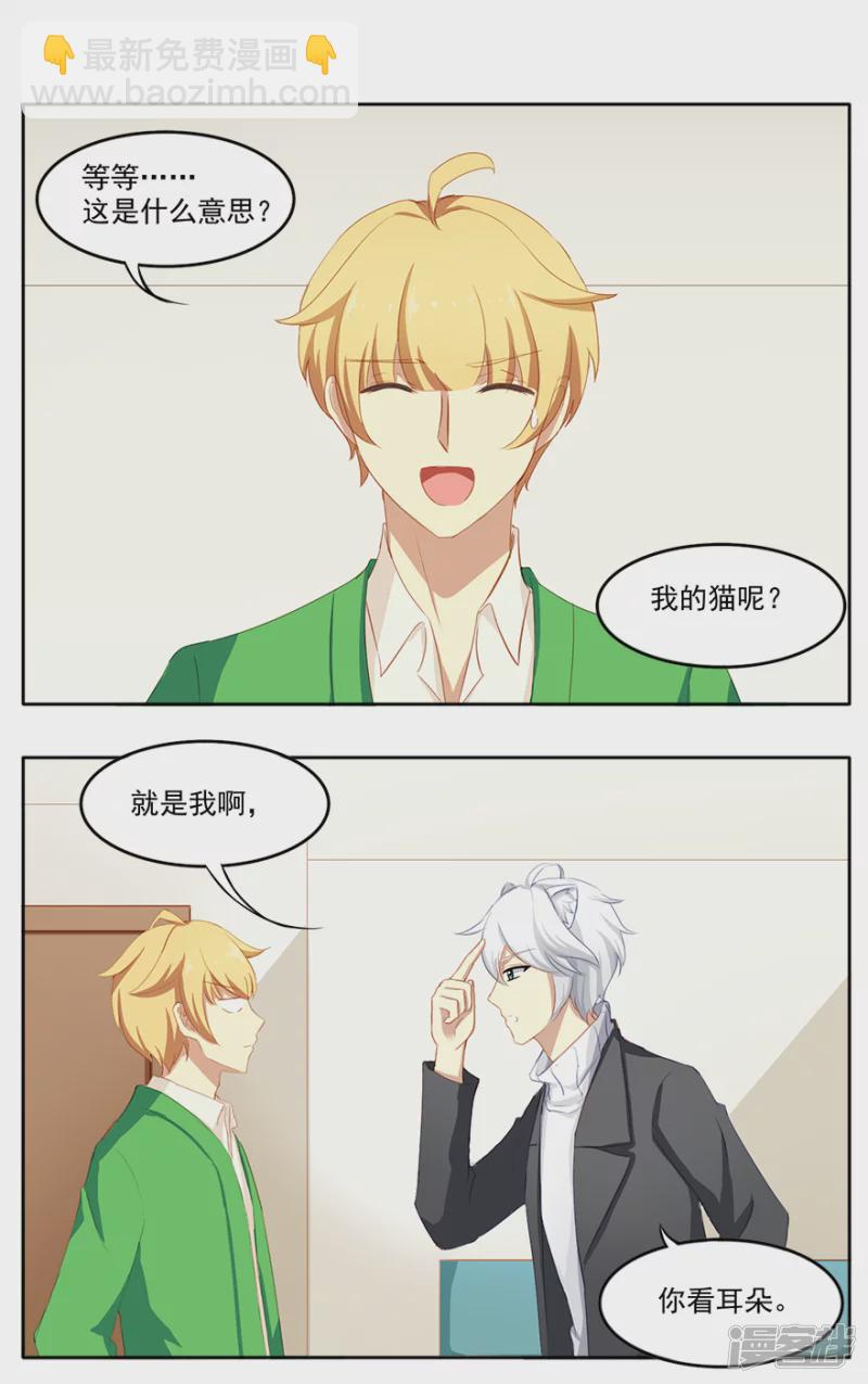 孤独的人需要猫咪-第1话