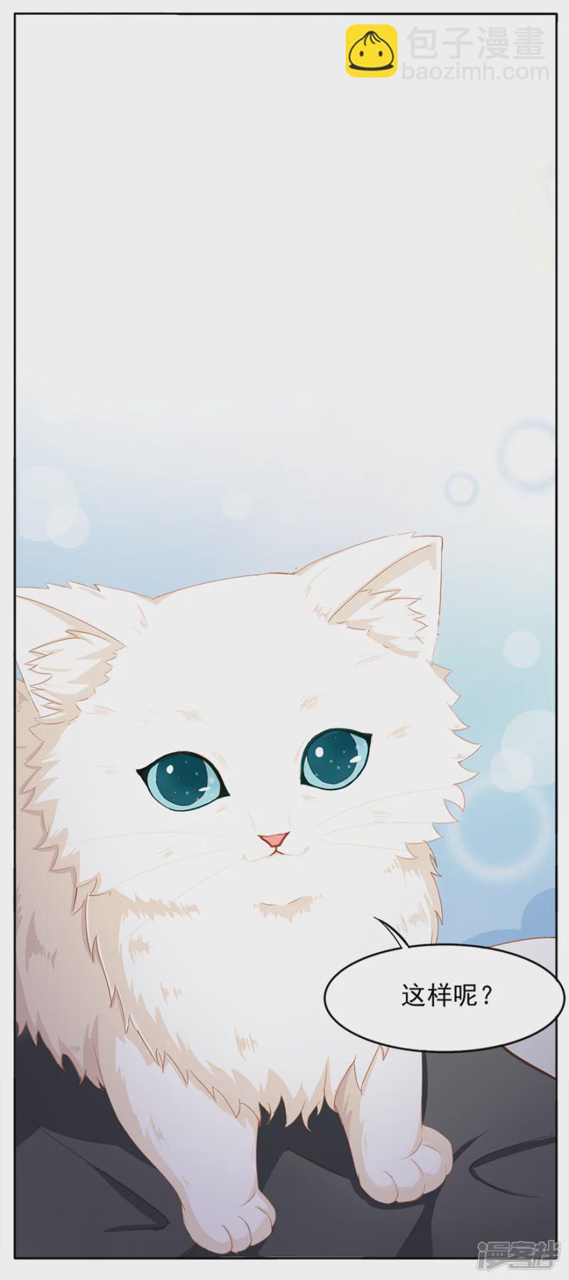 孤独的人需要猫咪-第1话