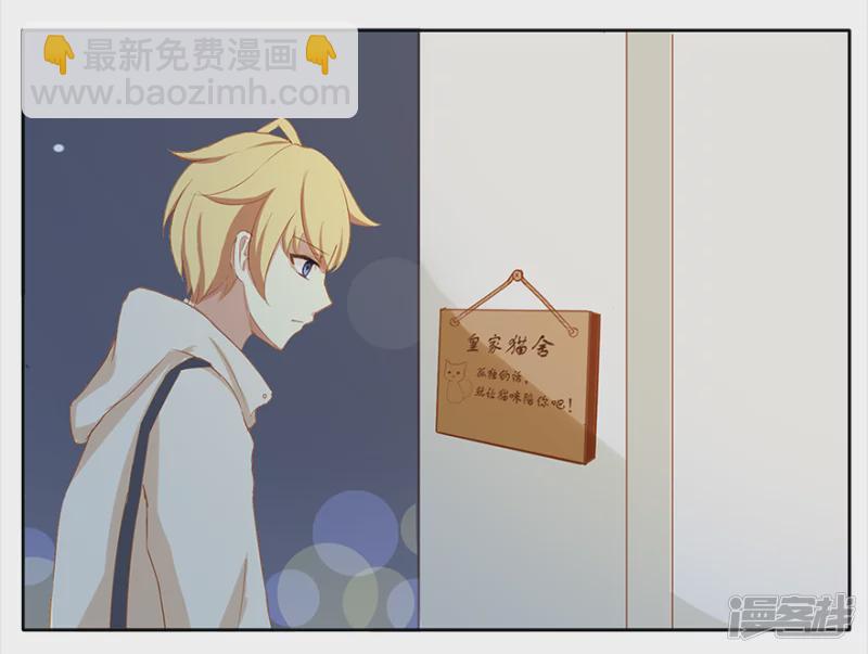 孤独的人需要猫咪-第1话