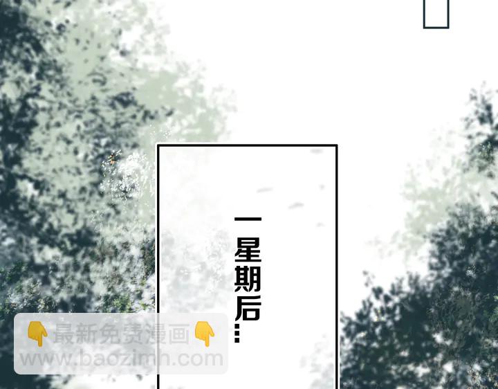 第40话 来吧！正面钢！(1/2)-第45话