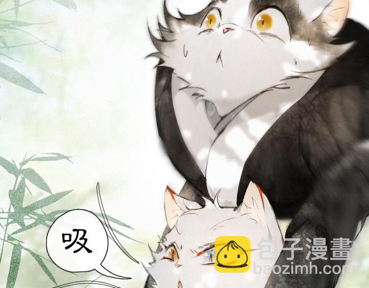 第14话 有敌来袭？(1/2)-第17话