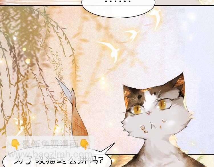 第16话 鱼也吸猫？(1/2)-第21话