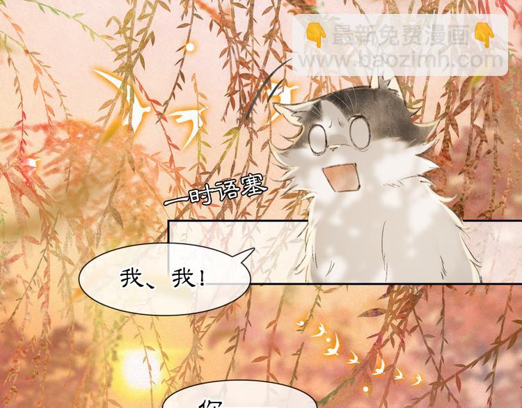 第16话 鱼也吸猫？(1/2)-第21话