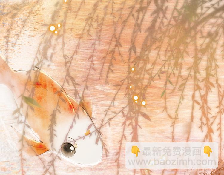 第16话 鱼也吸猫？(1/2)-第21话