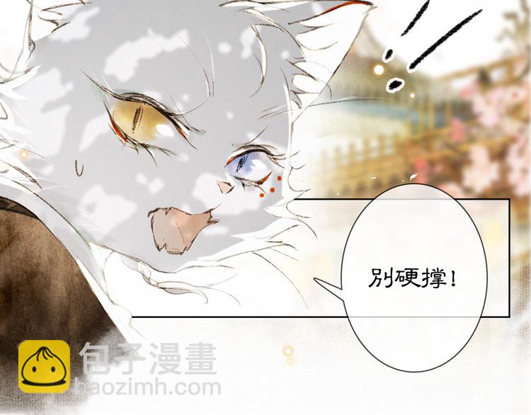 第31话 迎战！(1/2)-第37话