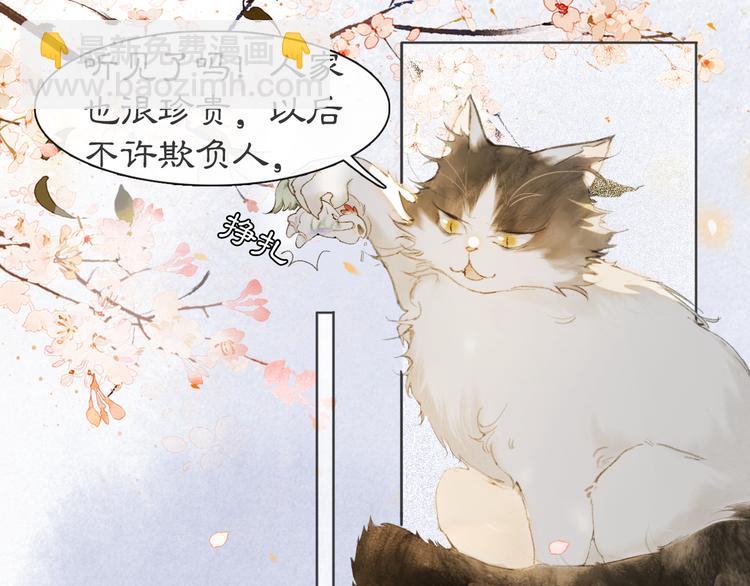 第41话 三秋杯的故事(1/2)-第47话