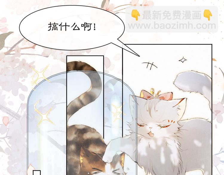 第41话 三秋杯的故事(1/2)-第47话