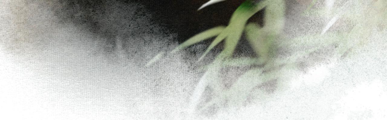 第45话 平安的思念-第99话