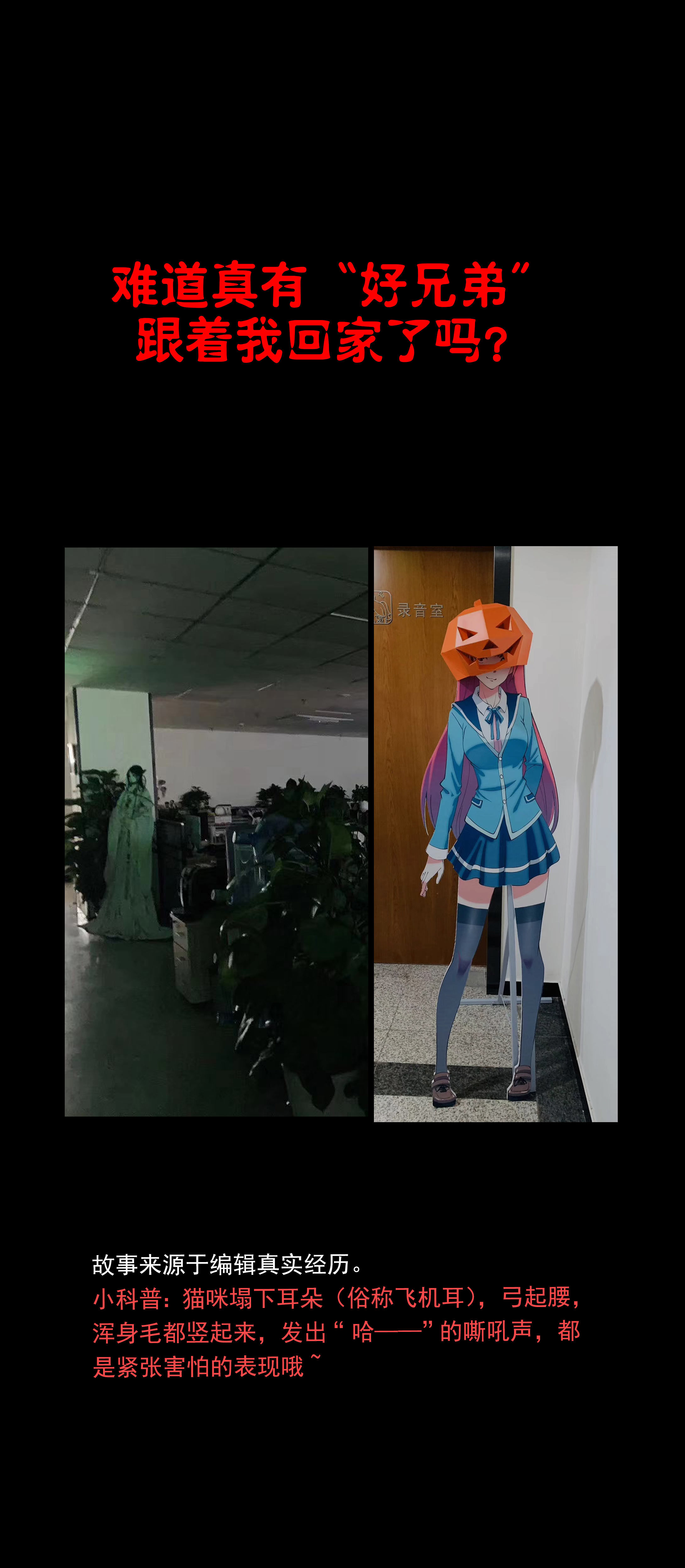 038加班太忙-第35话