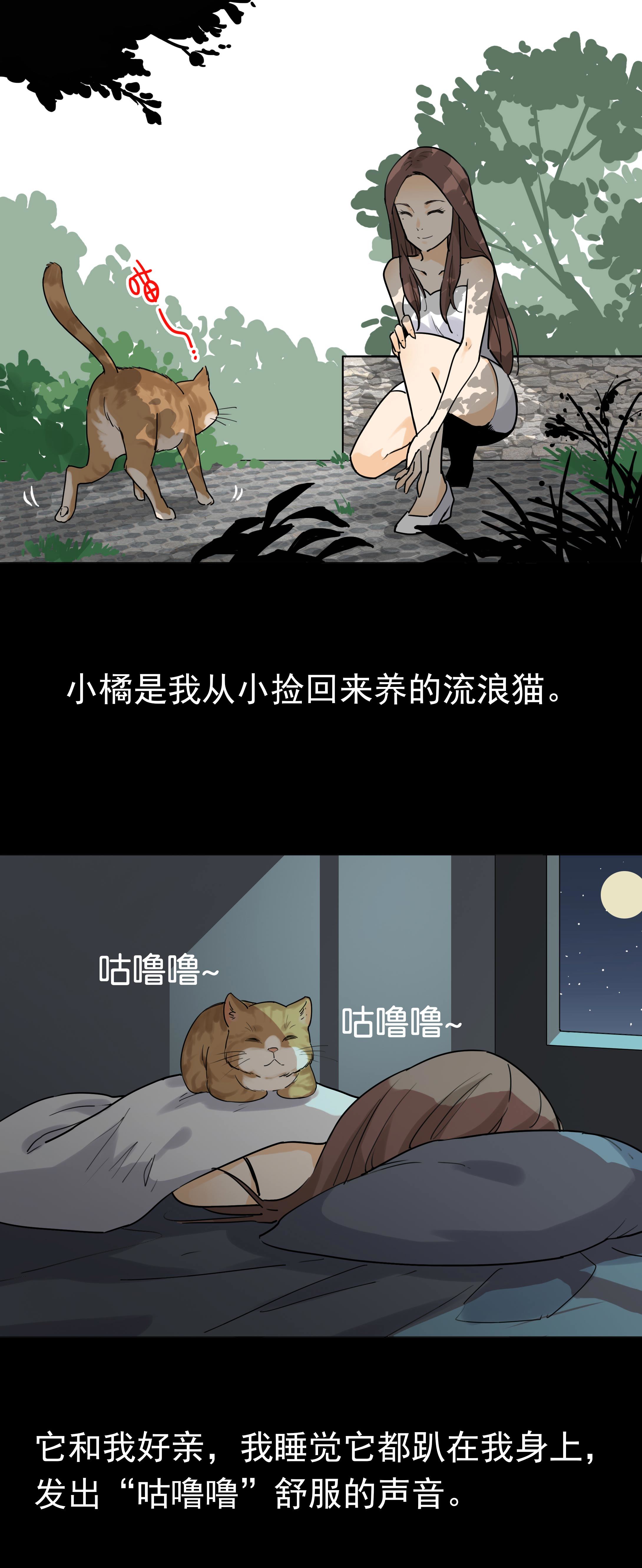 子夜来敲门 - 042猫咪 - 2