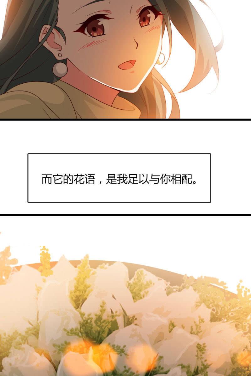 總裁大人的甜蜜小女巫 - 花語 - 7