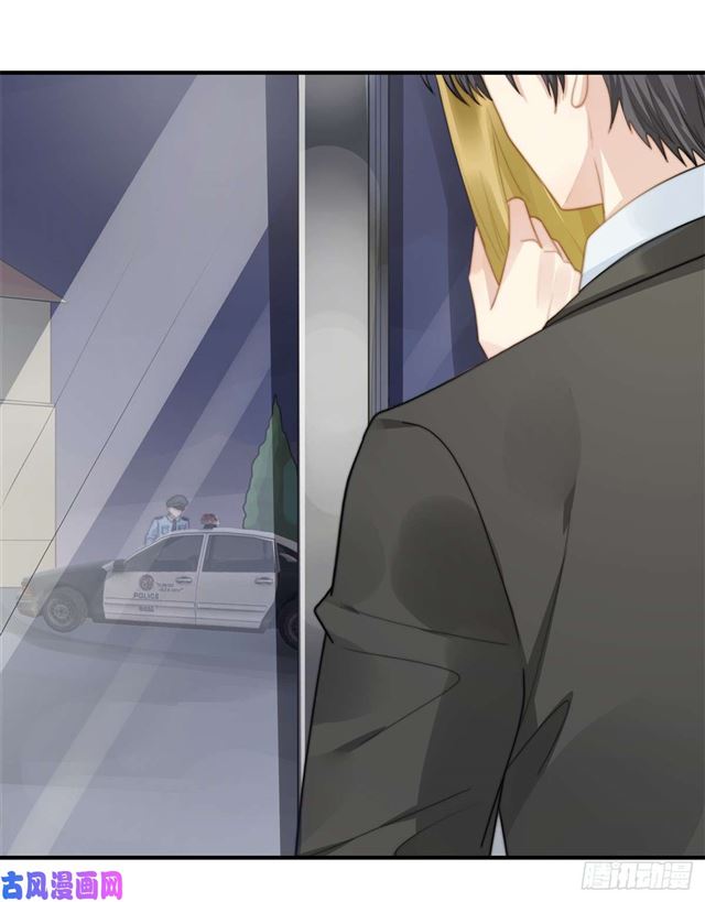 第114话 最会享受的猫-第117话