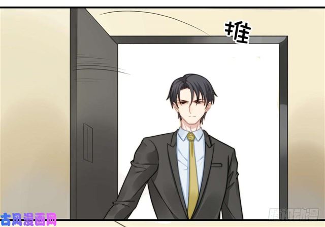 第114话 最会享受的猫-第117话