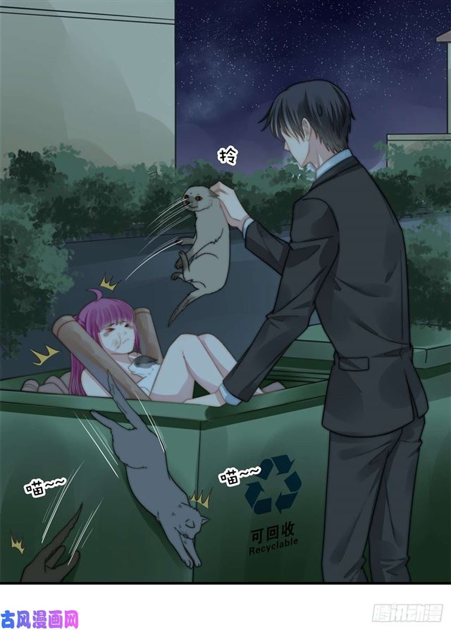 第114话 最会享受的猫-第117话