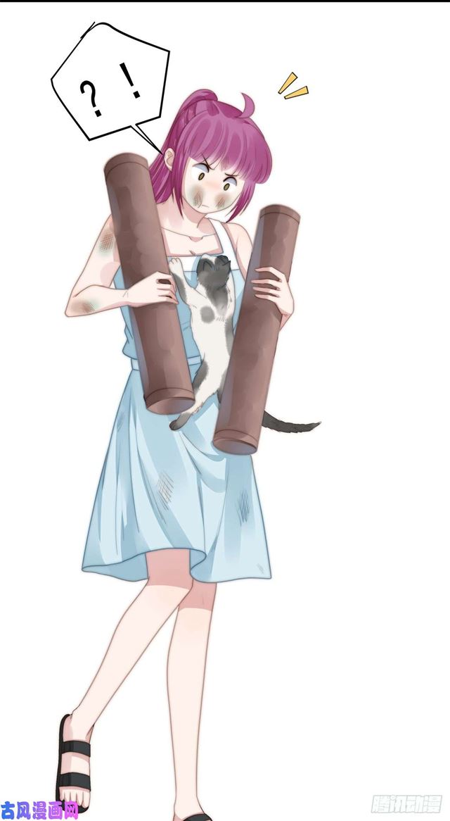 第114话 最会享受的猫-第117话